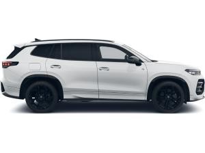 Volkswagen Tayron 2.0 TDI DSG R-Line 4motion BlackStyle Leder KomfortPlus IQ.DRIVEPre