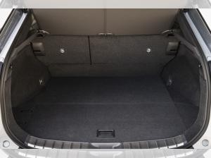 Lexus RZ 550e F Sport Privatleasing