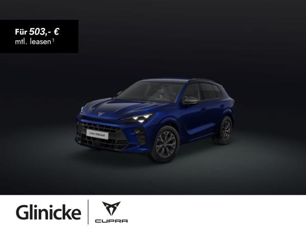 Cupra Terramar 2.0 TSI DSG 4Drive Business Paket