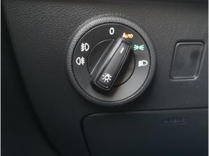 Cupra Ateca Tribe Edition 4Drive 360° Kamera el. Heckklappe