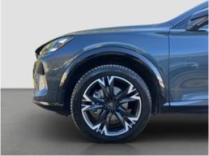 Cupra Formentor (KMP)