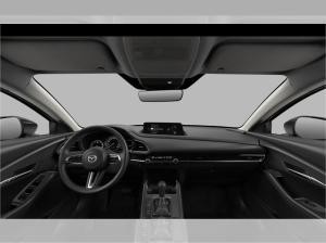 Mazda CX-30 SoMo eSKYACTIV-G 2.5 140ps Automatik Homura