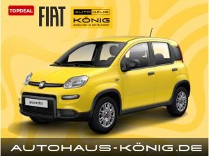 Fiat Panda Christmas-Deal  | Stark reduzierte Überführungskosten | 10.000 km jährliche Laufleistung 🚀