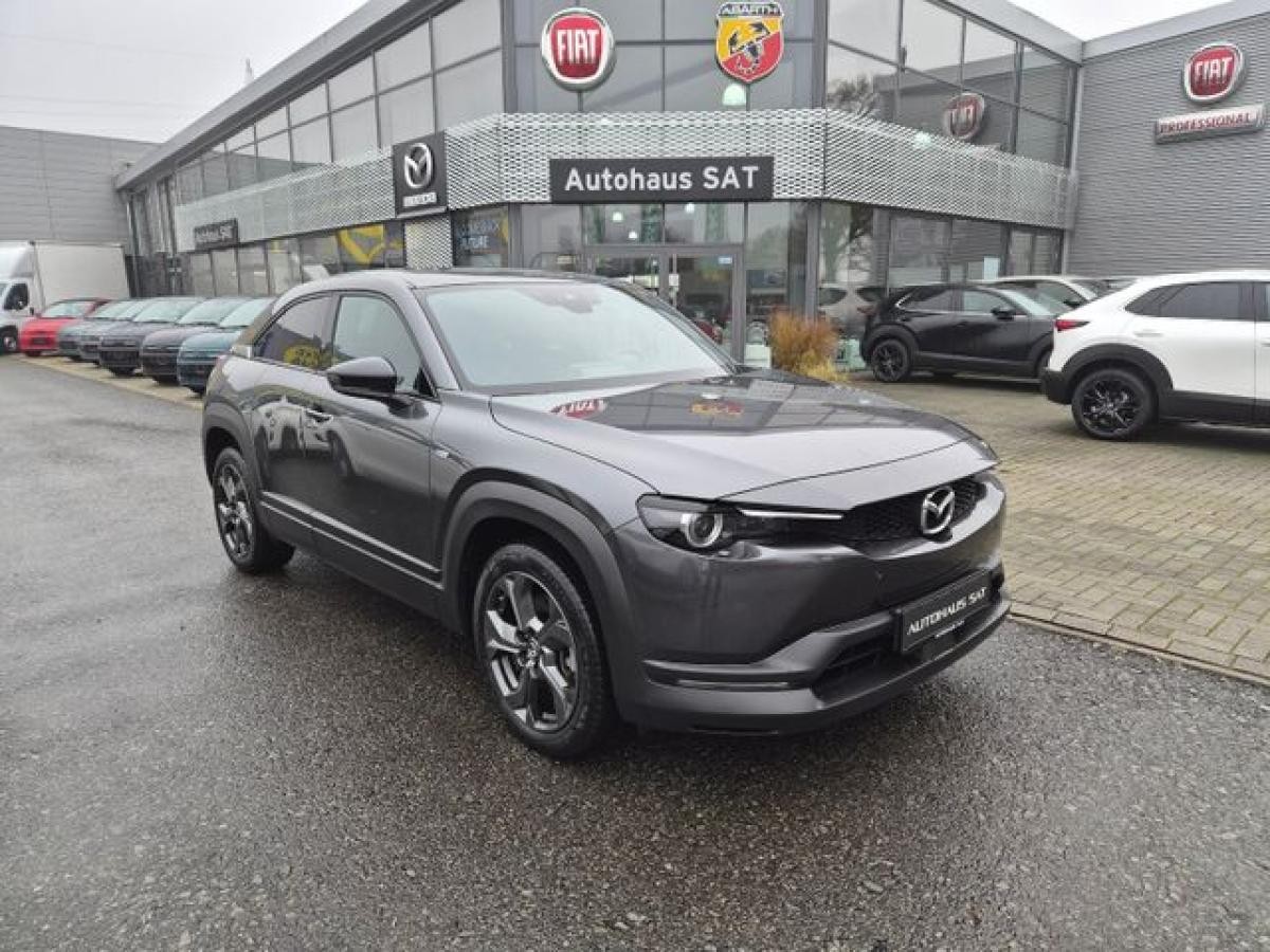 Mazda MX-30 SONDERMODELL ADVANTAGE Industrial Vintage