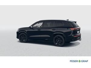 Volkswagen Tayron 2.0 TDI R-Line NAV BLACK AHK STANDHZ 20