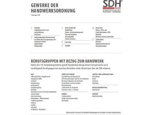 Renault Austral Esprit Alpine E-Tech 200❗️HANDWERKER-AKTION❗️