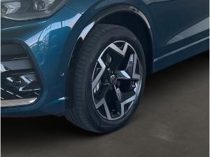 Volkswagen Tiguan R-Line 2.0TDI DSG 4Motion +AHK+STDHZ+LEDER+