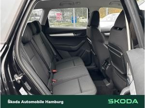 Skoda Karoq Tour 1,5 TSI 7-Gang-DSG _LGE