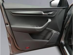 Skoda Karoq Sportline 2.0 TDI DSG AHK NAVI ACC RFK DAB