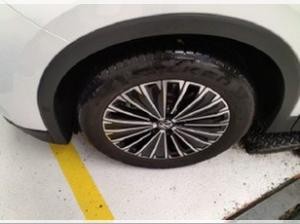 Volkswagen Tiguan 1.5 eTSi DSG Goal AHK R-Kamera 18Zoll LED-Plus SideAssist ACC