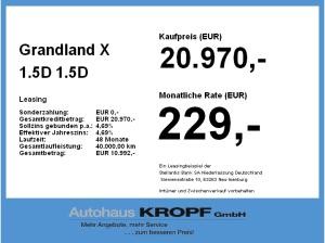 Opel Grandland X 1.5D Fin. ab 2,99 % Navi,RückfahrK