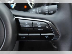 Mazda CX-30 2.0 eSKYACTIV-X 186ps Automatik Homura ACC