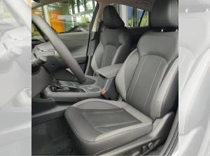 Subaru Crosstrek 2.0ie e-BOXER Platinum Navi AWD AT