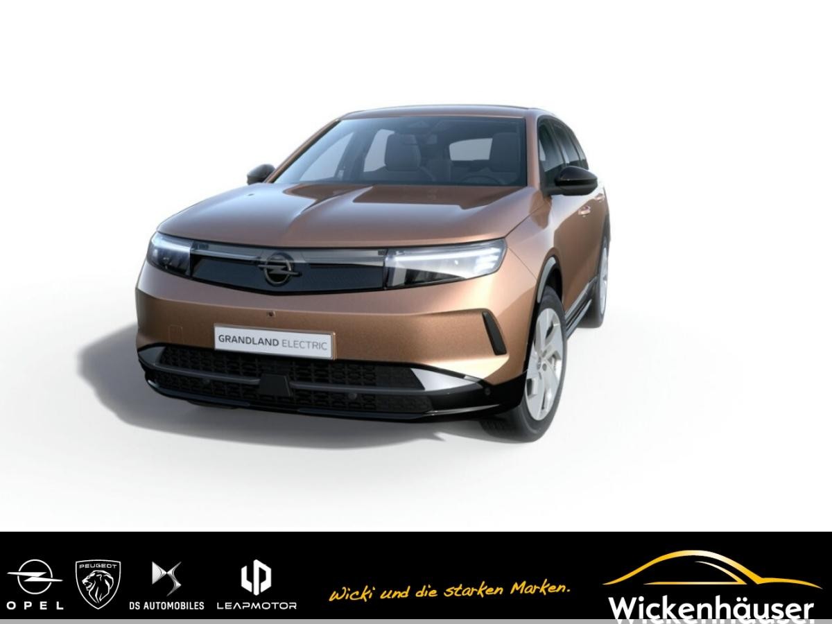 Opel Grandland Electric Edition 73 kWh Batterie