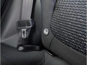 Subaru Forester 2.0ie Exclusive AWD Schiebedach