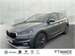 Skoda Fabia 1,0 TSI DSG Tour AHK*ASIST*INFOT*WINTER