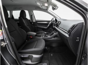 Skoda Karoq Selection 1.5 TSI DSG AHK Winter