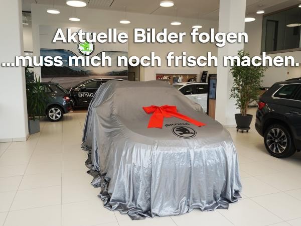 Skoda Karoq Tour 1.5 TSI DSG AHK NAVI LED RFK 150 PS