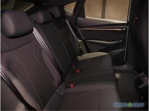 Cupra Tavascan Endurance SHZ, Kamera, FULL LINK