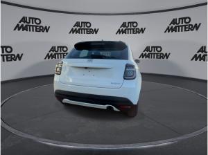 Fiat 600 🚗🌱 | Privatleasing 😃 | Business Edition 💼 | inkl. Allwetterreifen ❄️☀️