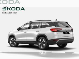 Skoda Kodiaq Selection 2.0 TDI DSG * individuell bestellbar*