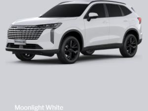 GWM Haval H6 LUXURY Hybrid ✔️❗Head-Up Display - NAVI - Ambientbeleuchtung❗SOFORT LIEFERBAR!✔️