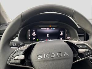 Skoda Kamiq Tour 1,0 TSI DSG AHK Info PLUS