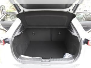 Mazda CX-30 SoMo eSKYACTIV-G 2.5 140ps Aut. Homura