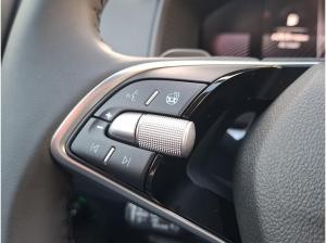 Skoda Karoq Tour 1.5 TSI DSG ACC AHK Matrix RKam EPH