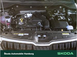 Skoda Karoq Tour 1,5 TSI 7-Gang-DSG _LGE