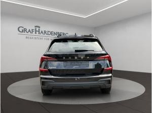 Skoda Kamiq Tour 116 PS 7-Gang-DSG