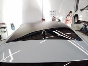 Volkswagen Golf 1.5TSI GTE +AHK+DCC+HEAD-UP+