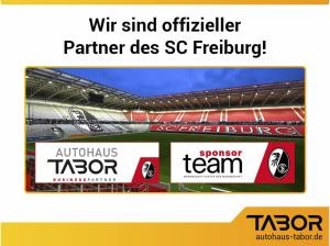 Renault Austral Techno SaftyP SHZ ACC Kam LED Nav 19Z