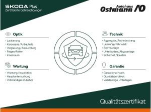 Volkswagen T-Roc 1.0 TSI Life Navi 2xKlima SHZ PDC CarPlay