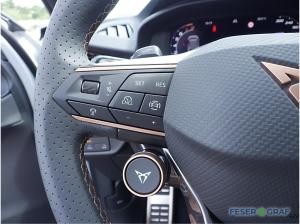 Cupra Terramar 2.0 TSI 4Drive NAVI, SHZ, AHK