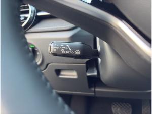 Skoda Fabia SOFORT VERFÜGBAR! Tour DSG ACC Kamera DynLicht LED
