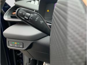 Cupra Terramar 2.0 TSI DSG *Sofort verfügbar*