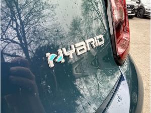 Fiat 500 🚗🌱 | Privatleasing 😃 | Torino Ausstattung ✨