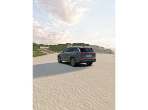 Volkswagen Tayron Elegance 2,0 TDI App-Connect Sitzh. LED