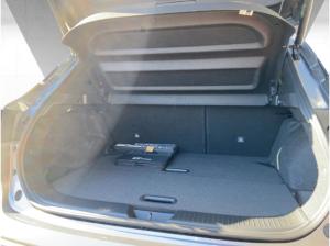 Nissan Qashqai N-CONNECTA Komfort 140PS Winter/HUD/AVM/Carplay nur noch 1x verfügbar !