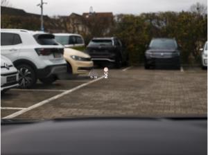 Volkswagen Golf VIII GTI 2.0 TSI Clubsport +BLACK-STYLE+19 +