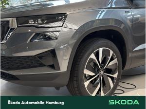 Skoda Karoq Tour 2,0 TDI 7-Gang-DSG _LGE