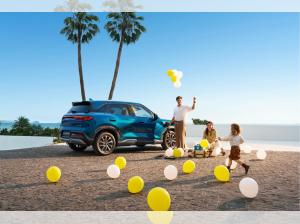 BYD ATTO 2 DM-i Boost