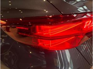 Cupra Formentor 🔥KEINE NEBENKOSTEN🔥AKRAPOVIC🔥AHK🔥