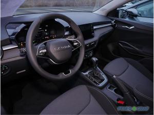 Skoda Fabia Tour 1,0 TSI DSG KAMERA,SHZ, SMART LINK