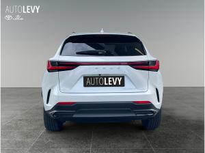 Lexus NX 450h+ Akustikglas Bel.Sitz HUD LED