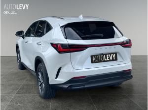 Lexus NX 450h+ Akustikglas Bel.Sitz HUD LED