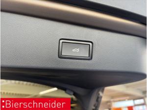 Cupra Tavascan Endurance AHK ADRENALINE WÄPU BELOW ZERO