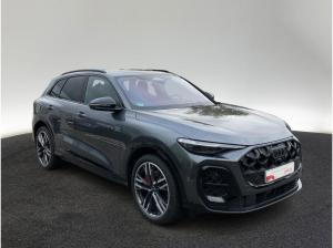 Audi Q5 TDI quattro S tronic S line Pano Standhzg