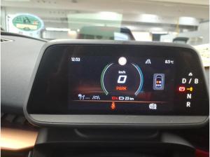 Cupra Tavascan 🔥KEINE NEBENKOSTEN🔥PANO🔥MATRIX🔥NAVI🔥